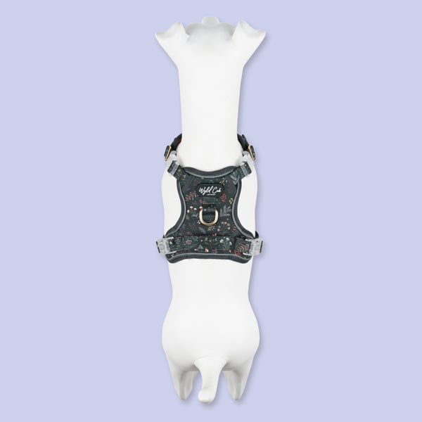 Step & Switch® Dog Harness: Chiswick Ravenwood