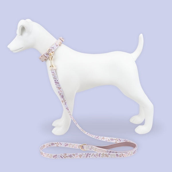 Dog Lead: Chiswick Oyster NEW