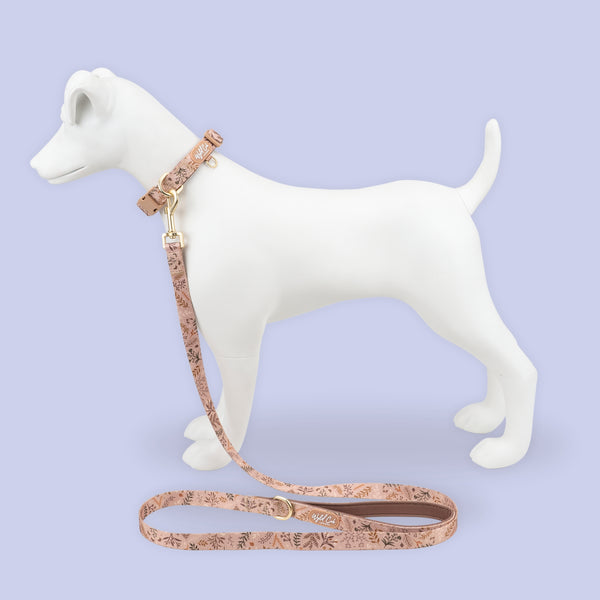Adjustable Dog Collar: Chiswick Nutmeg