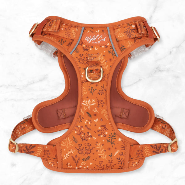 Step & Switch® Dog Harness: Chiswick Ginger