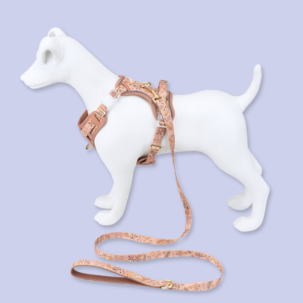 Step & Switch® Dog Harness: Chiswick Nutmeg