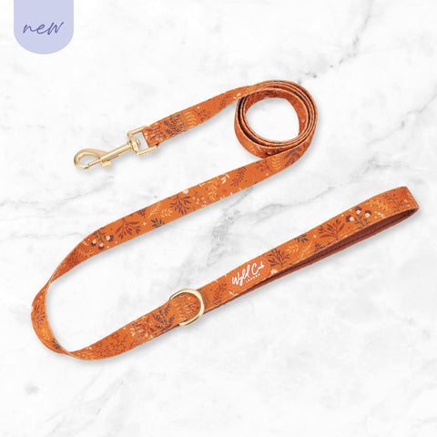 Dog Lead: Chiswick Ginger