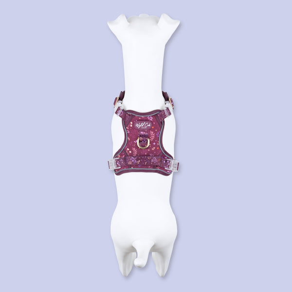 Step & Switch® Dog Harness: Chiswick Fig