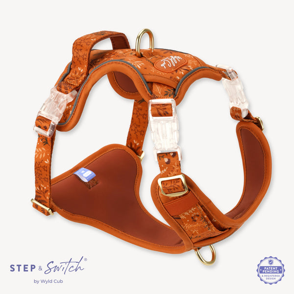 Step & Switch® Dog Harness: Chiswick Ginger