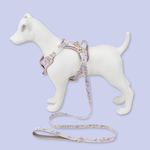 Step & Switch® Dog Harness: Chiswick Oyster