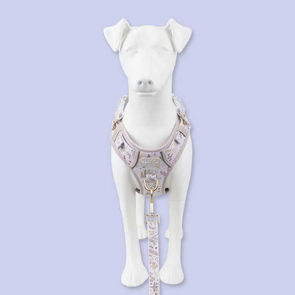 Step & Switch® Dog Harness: Chiswick Oyster