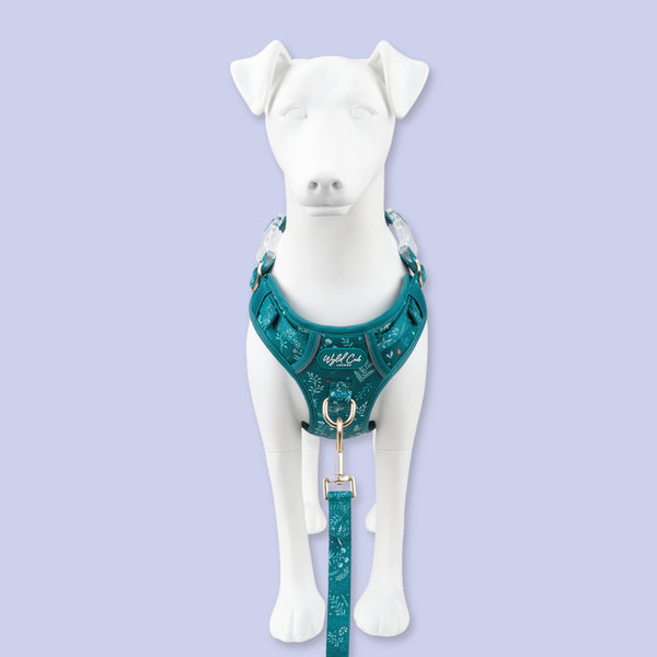 Step & Switch® Dog Harness: Chiswick Alpine