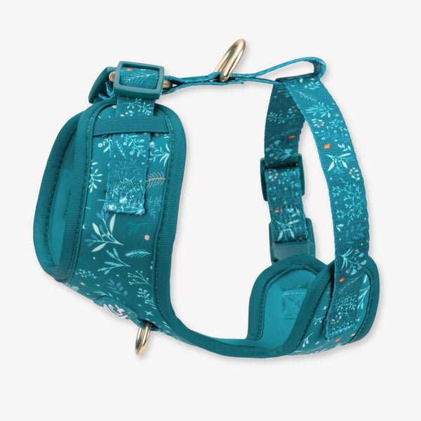 Adjustable Dog Harness: Chiswick Alpine NEW