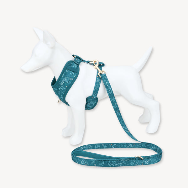 Dog Lead: Chiswick Alpine NEW