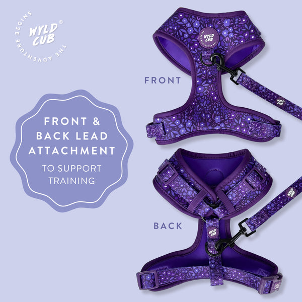 Adjustable Dog Harness: Notting Hill Blackberry