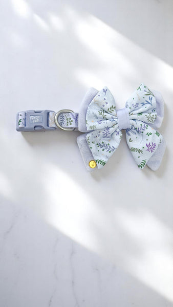 Dog Butterfly Bow Tie: Chiswick Thistle