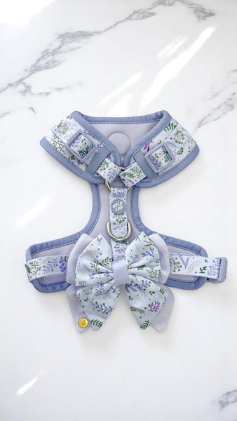 Dog Butterfly Bow Tie: Chiswick Thistle