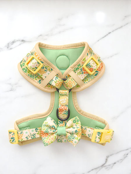 Dog Bow Tie: Notting Hill Lemongrass
