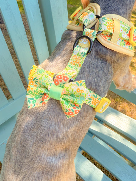 Dog Bow Tie: Notting Hill Lemongrass
