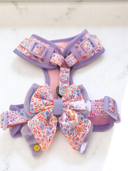 Dog Butterfly Bow Tie: Notting Hill Lilac