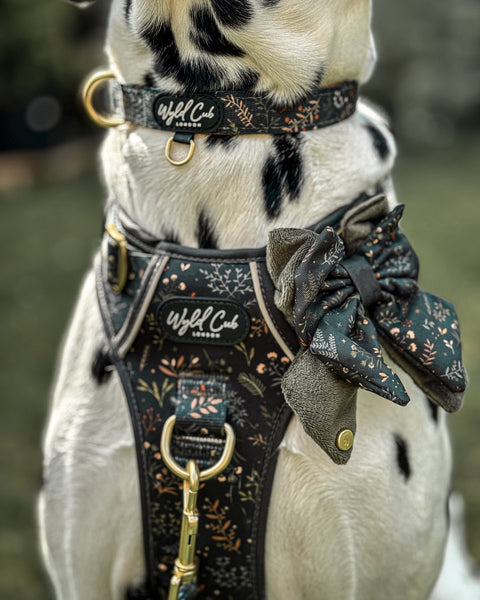 Step & Switch® Dog Harness: Chiswick Ravenwood