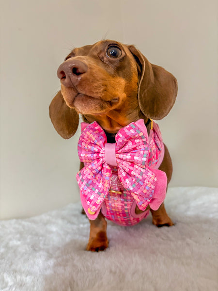 Dog Butterfly Bow: Belgravia Bonbon