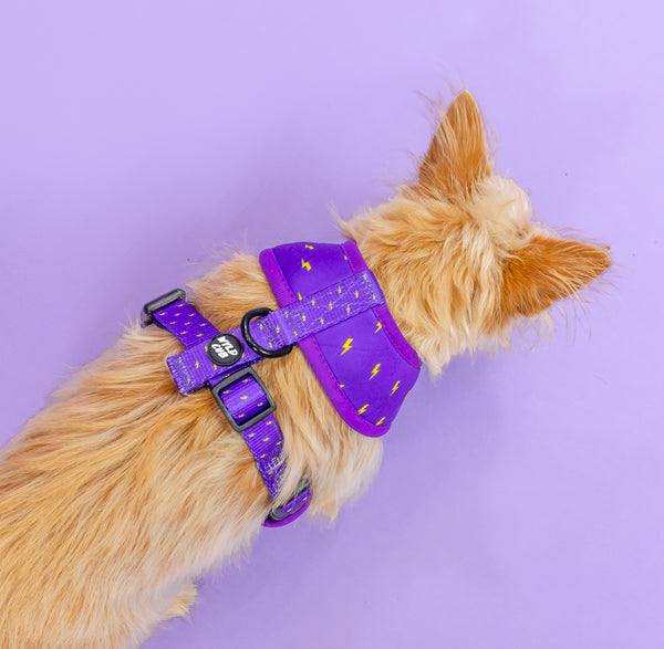 Wyld Cub purple blue lightening bolts rocket fun cool stylish quality reversible harness collar lead poo bag walk accessories set for top dog puppy breeds french bulldog frenchie bulldog cavapoo cockerpoo spaniel king Charles spaniel shihpoo labrador terrier chihuahua