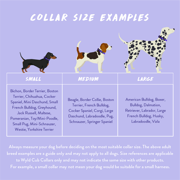 Wyld Cub dog puppy harness walking collar size guide breed sizes for top dog puppy breeds french bulldog frenchie bulldog cavapoo cockerpoo spaniel King Charles spaniel poodle labrador terrier chihuahua