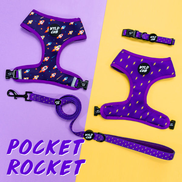 Wyld Cub purple blue lightening bolts rocket fun cool stylish quality reversible harness collar lead poo bag walk accessories set for top dog puppy breeds french bulldog frenchie bulldog cavapoo cockerpoo spaniel king Charles spaniel shihpoo labrador terrier chihuahua