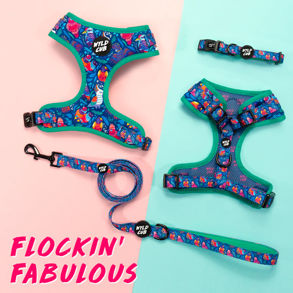 Wyld Cub blue floral colourful fun pink green blue birds stylish comfortable quality adjustable harness collar lead poo bag walk accessories set for top dog puppy breeds french bulldog frenchie bulldog cavapoo cockerpoo spaniel king Charles spaniel shihpoo labrador terrier chihuahua