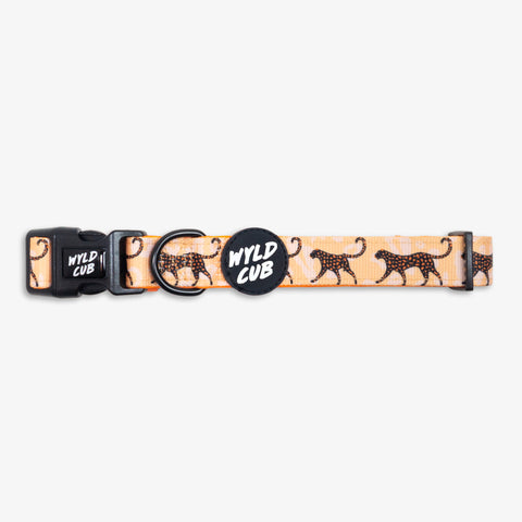 Wyld Cub orange black cool fun stylish leopard print lips comfortable quality reversible harness collar lead poo bag walk accessories set for top dog puppy breeds french bulldog frenchie bulldog cavapoo cockerpoo spaniel king Charles spaniel shihpoo labrador terrier chihuahua