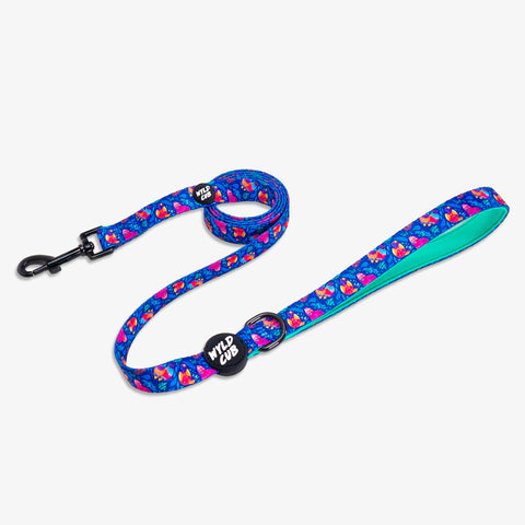 Wyld Cub blue floral colourful fun pink green blue birds stylish comfortable quality adjustable harness collar lead poo bag walk accessories set for top dog puppy breeds french bulldog frenchie bulldog cavapoo cockerpoo spaniel king Charles spaniel shihpoo labrador terrier chihuahua