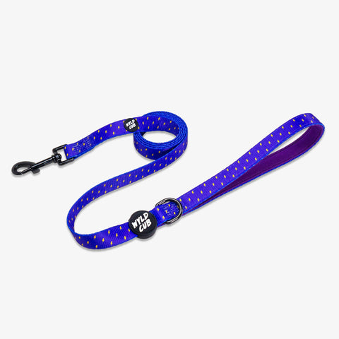 Wyld Cub purple blue lightening bolts rocket fun cool stylish quality reversible harness collar lead poo bag walk accessories set for top dog puppy breeds french bulldog frenchie bulldog cavapoo cockerpoo spaniel king Charles spaniel shihpoo labrador terrier chihuahua