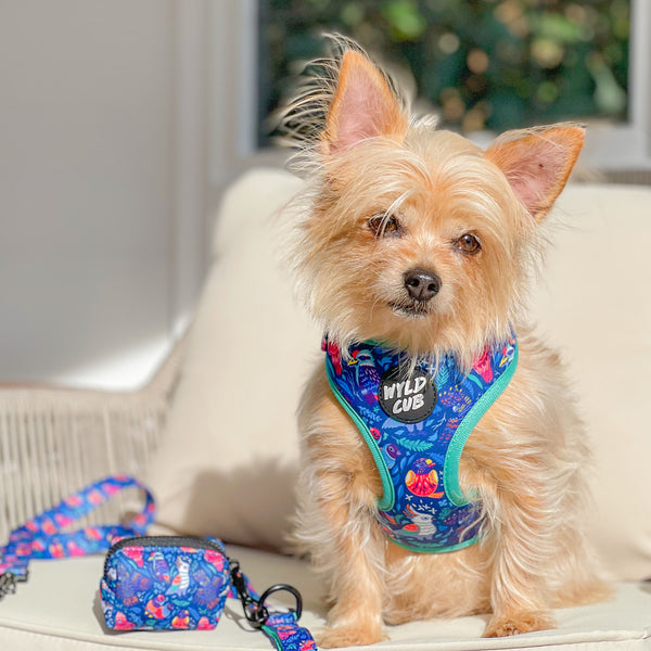 Wyld Cub blue floral colourful fun pink green blue birds stylish comfortable quality adjustable harness collar lead poo bag walk accessories set for top dog puppy breeds french bulldog frenchie bulldog cavapoo cockerpoo spaniel king Charles spaniel shihpoo labrador terrier chihuahua