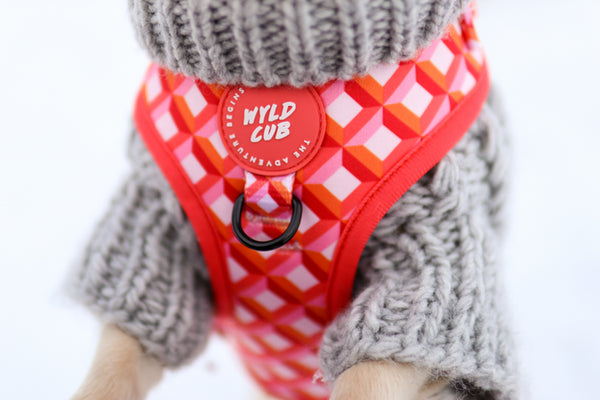 Adjustable Dog Harness: Knightsbridge Coral