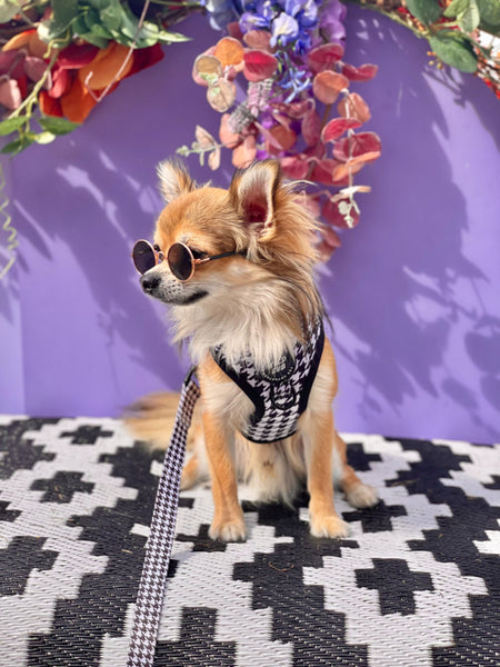 Adjustable Dog Harness: Knightsbridge Houndstooth