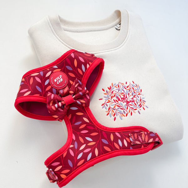 Organic Embroidered Wyld Heart BABY & KIDS Sweatshirt: Hampstead Fireside