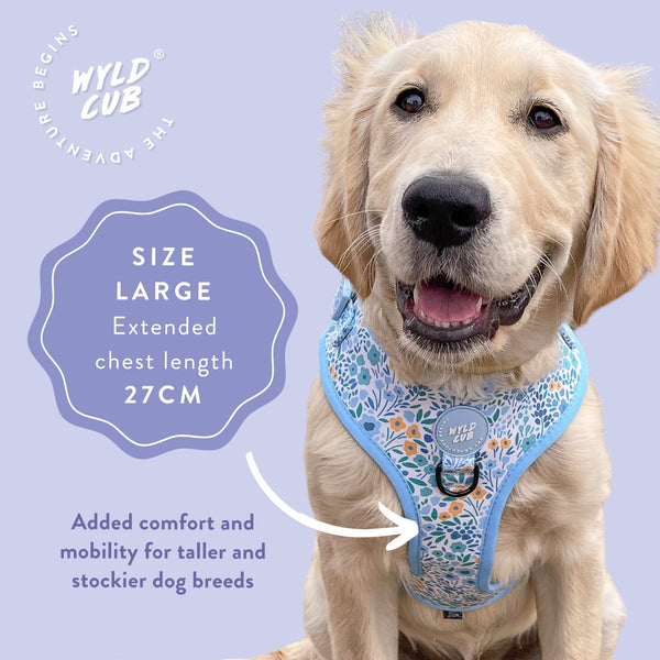 Adjustable Dog Harness: Notting Hill Sky