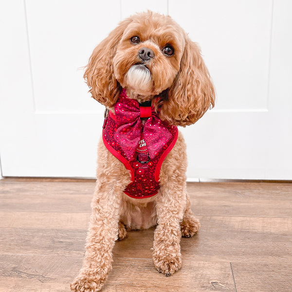 Adjustable Dog Harness: Notting Hill Mulberry