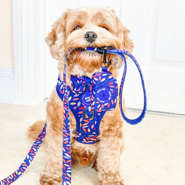 Dog Poop Bag Holder: Hampstead Moonlight