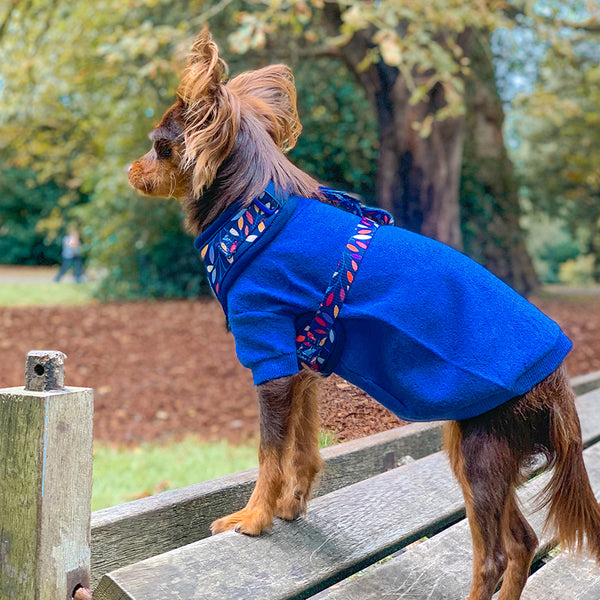 Adjustable Dog Harness: Hampstead Moonlight