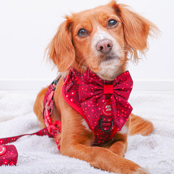 Adjustable Dog Harness: Notting Hill Mulberry