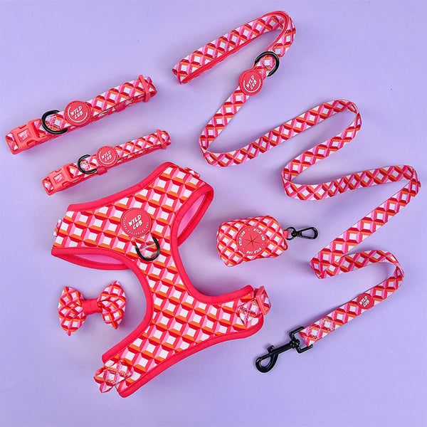 Adjustable Dog Harness: Knightsbridge Coral