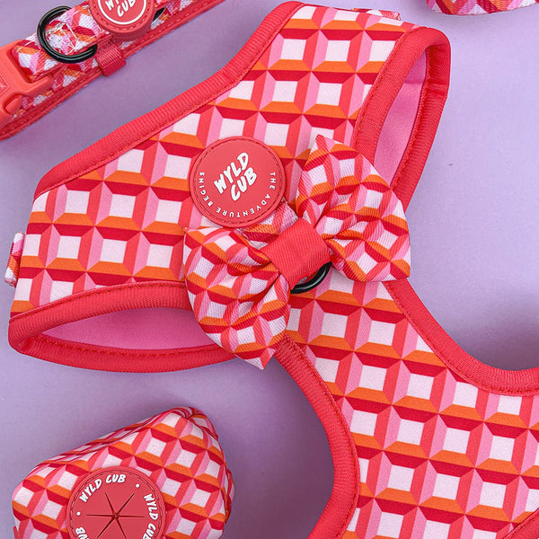 Adjustable Dog Harness: Knightsbridge Coral