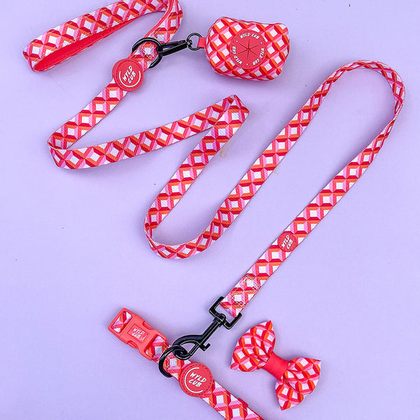 Adjustable Dog Collar: Knightsbridge Coral