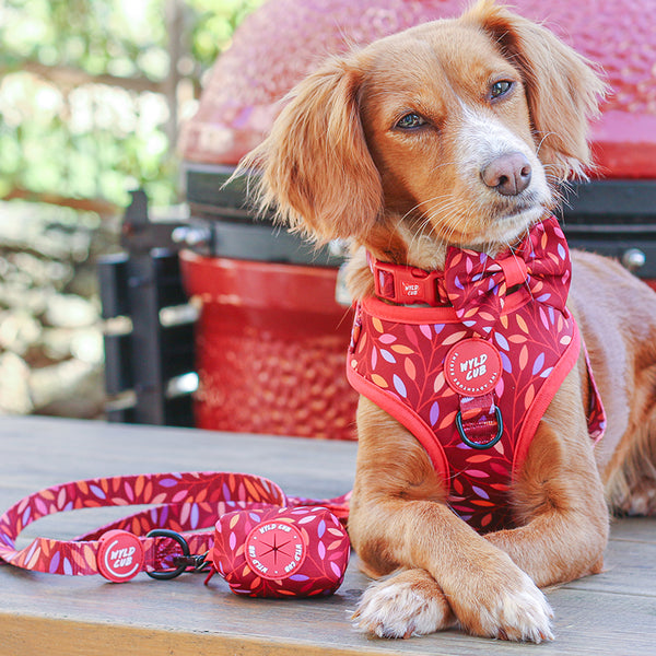 Dog Poop Bag Holder: Hampstead Fireside