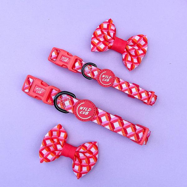 Adjustable Dog Collar: Knightsbridge Coral