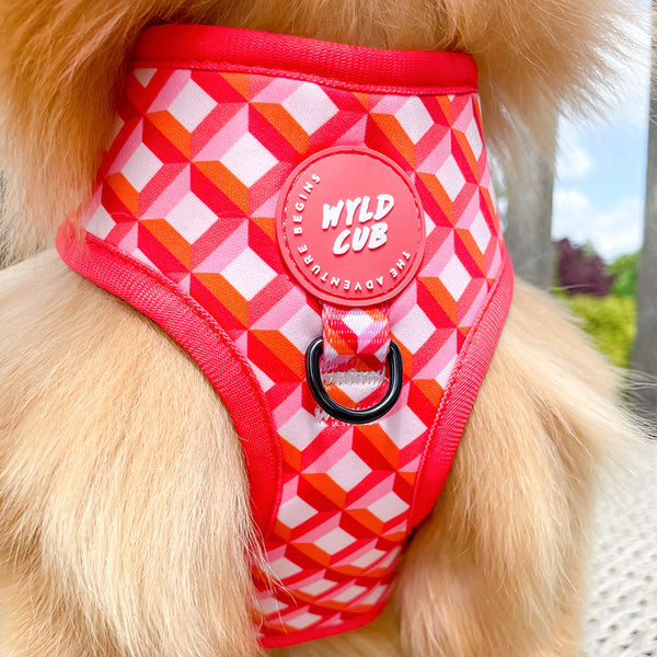 Adjustable Dog Harness: Knightsbridge Coral