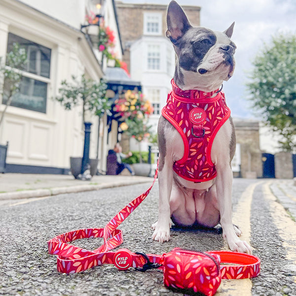 Dog Poop Bag Holder: Hampstead Fireside