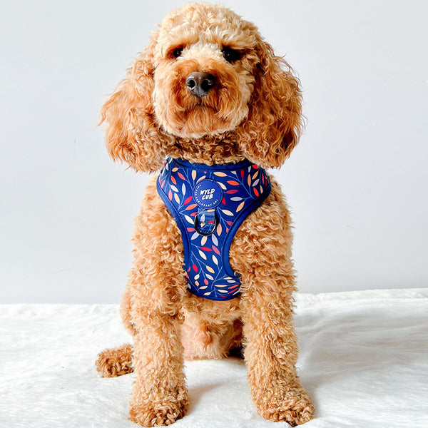 Adjustable Dog Harness: Hampstead Moonlight