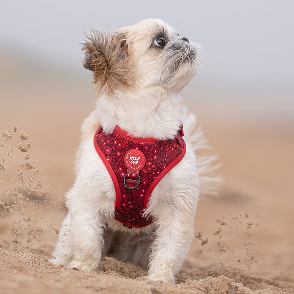 Adjustable Dog Harness: Notting Hill Mulberry