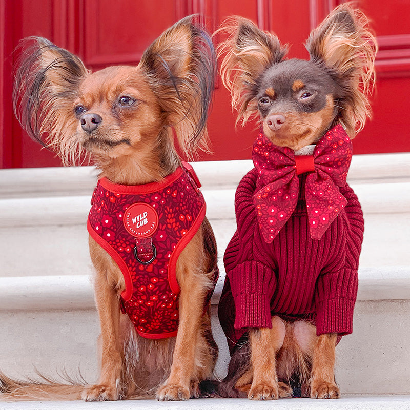 Adjustable Dog Harness: Notting Hill Mulberry – WYLD CUB ®