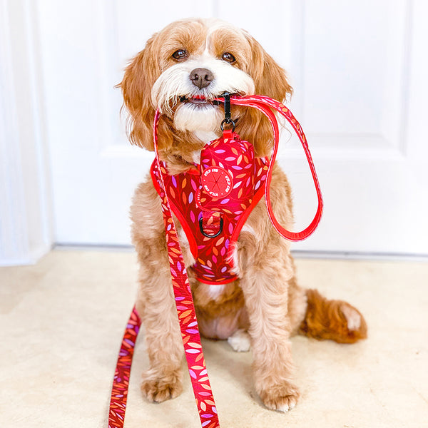 Dog Poop Bag Holder: Hampstead Fireside