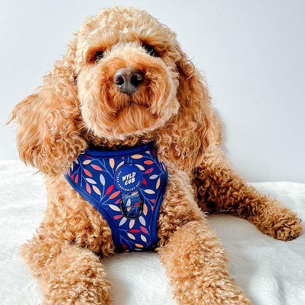 Adjustable Dog Harness: Hampstead Moonlight