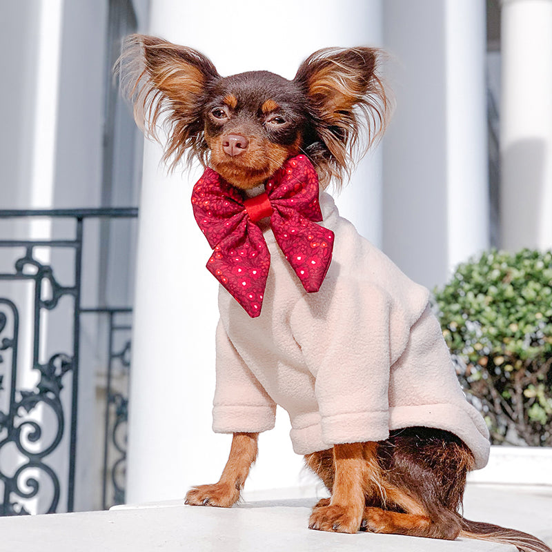 Bow tie puppy sales